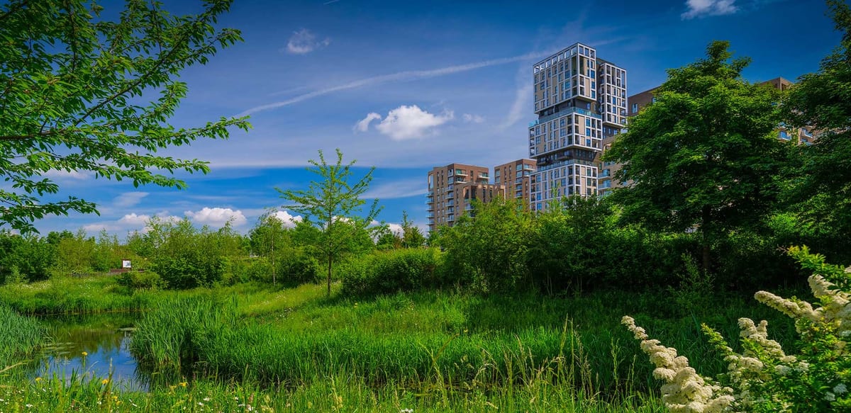 Cator Park's wetland and meadow under a blue sky, with Kidbrooke Village's apartment towers rising beyond the trees